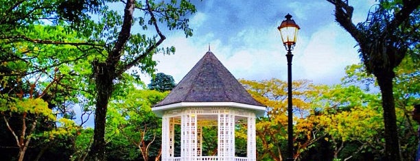 Singapore Botanic Gardens is one of Singapore for friends.