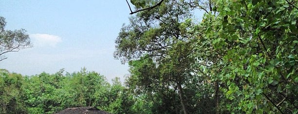 Sungei Buloh Wetland Reserve is one of Running.