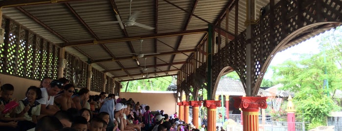 Elephant show is one of Chalong/Rawai.