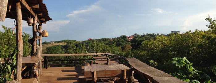 Treetop Ecolodge is one of Travel.