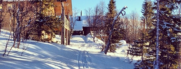 Skiing in Åre