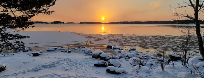 Uutela is one of Places to visit in Finland.