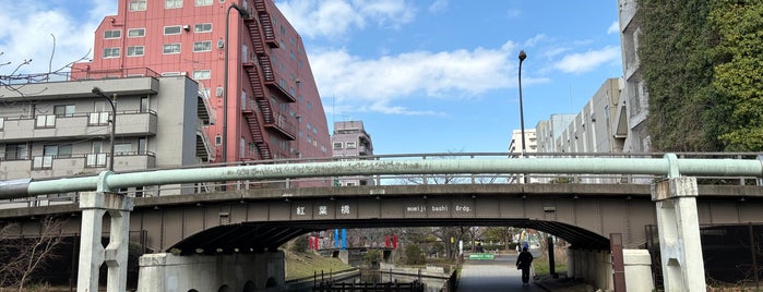 紅葉橋 is one of 渡った橋（東京都区内）.