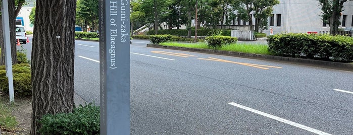 茱萸坂 is one of 東京坂 ～千代田・港区～.