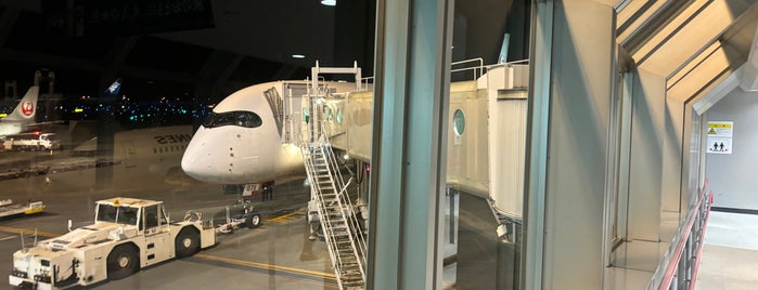 Gate 12 is one of 空港のスポット.