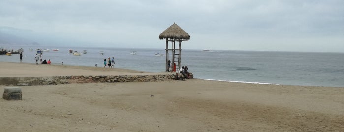 Hotel Gaviota is one of Puerto Vallarta Hotels.