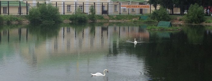 Белый пруд is one of места.