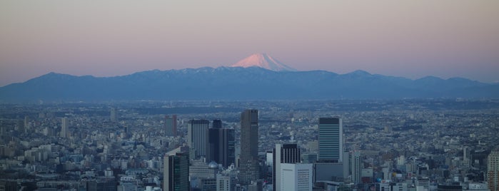 The Ritz-Carlton Tokyo is one of Thunder : понравившиеся места.