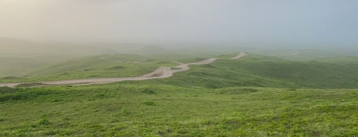 صلالة is one of Tariq'in Beğendiği Mekanlar.