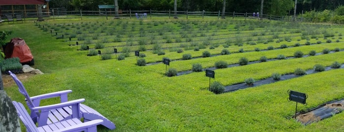 Orchard View Lavender Farm is one of Persephone'nin Beğendiği Mekanlar.