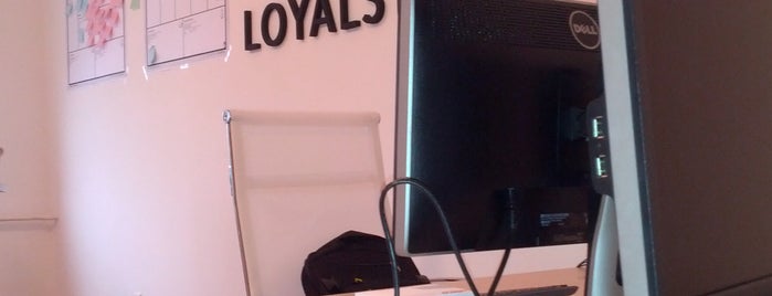 Loyalster HQ is one of Companies.