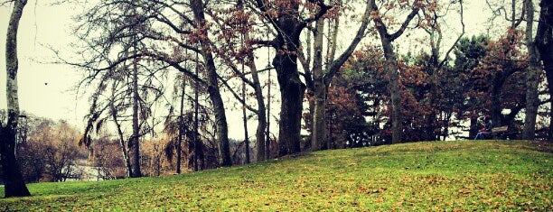 Green Lake Park is one of Seattle's 400+ Parks [Part 1].