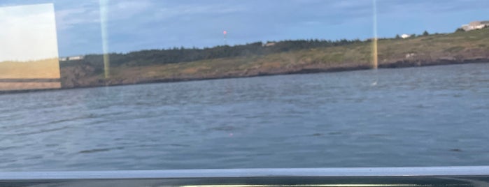 Brier Island is one of Nova Scotia.