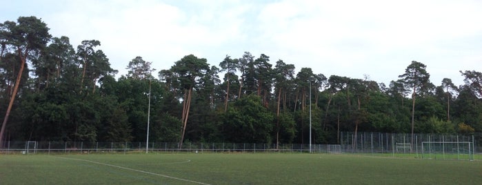 Dietmar-Hopp-Sportpark is one of Mit dem OFC unterwegs 2015/16.