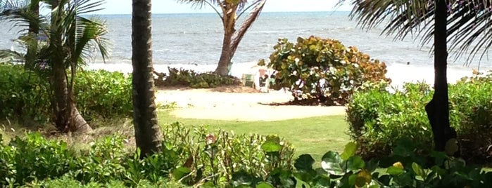 The St. Regis Bahia Beach Resort Puerto Rico is one of April's Favorites.