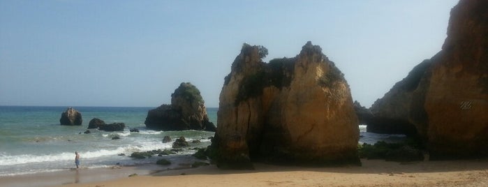 Praia do Alemão is one of Susanaさんのお気に入りスポット.