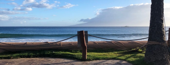 Hyatt Waterslide is one of Maui.