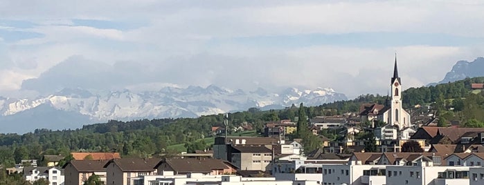 Day 19 - Lucerne / Zurich (22)