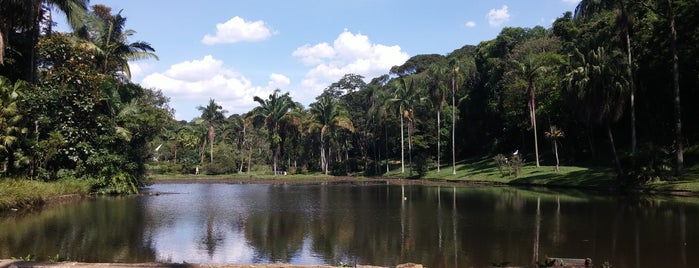Jardim Botânico de São Paulo is one of Passeios.
