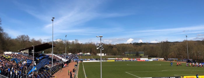 Regionalliga Südwest 2017/18