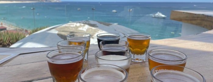 Baja Brewing Company is one of Cabo.