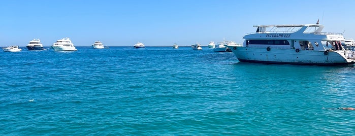 Golden Dolphin Diving Center is one of Hurghada.