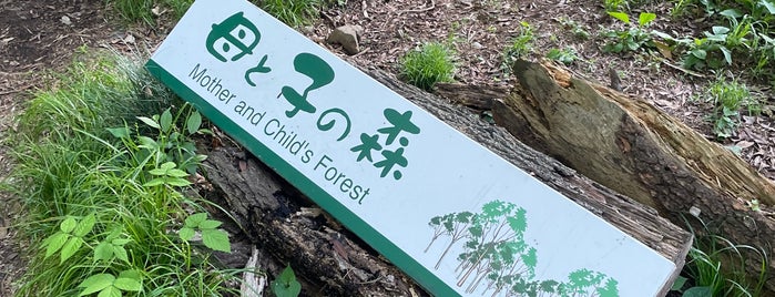 Mother and Child's Forest is one of 皇居周辺お散歩デート.