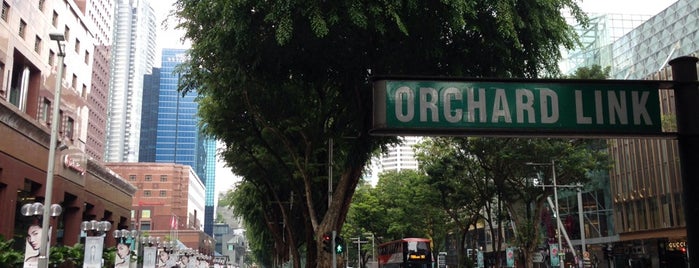 Orchard Link is one of Frequent locations.