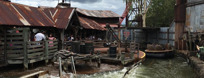 Thunder River Rapid Ride is one of BNS.