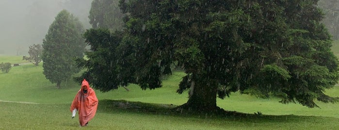 Taman Nasional Gunung Gede Pangrango is one of Local Adventure.