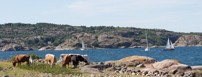 Veddö Naturreservat is one of Lugares favoritos de Pierre.