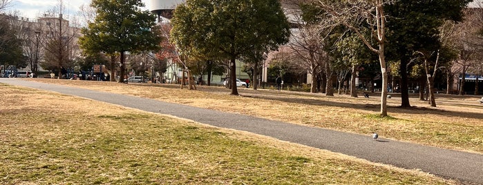 西新井さかえ公園 is one of 公園.