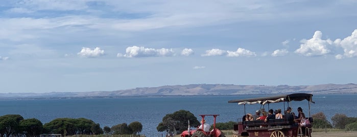 Churchill Island is one of Lieux qui ont plu à Damian.