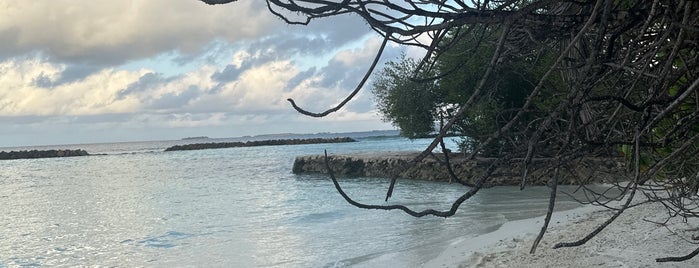 Bandos Island Resort & Spa is one of F+C Maldives 2018.