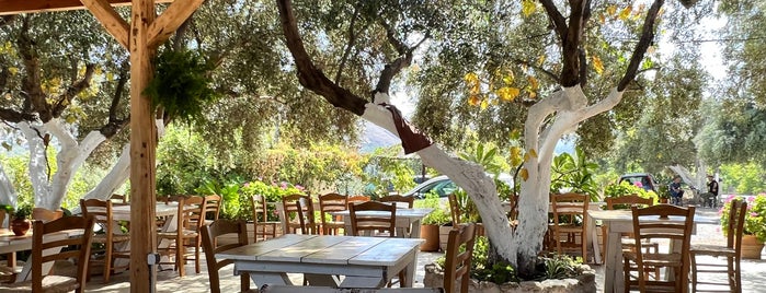 Pasiphae taverna is one of Crete.