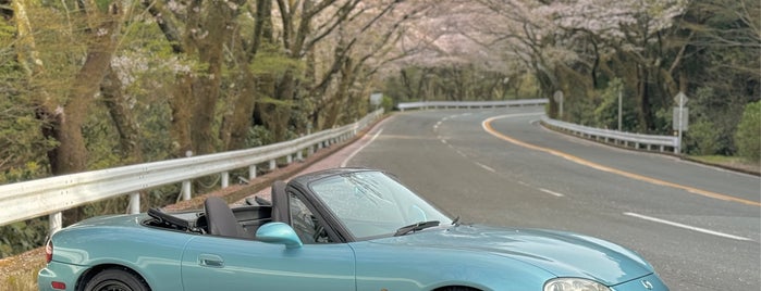 Anest Iwata Turnpike Hakone is one of Road to IZU.
