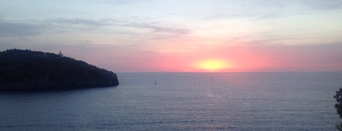 Nautilus is one of Port del Soller, Soller and Palma.