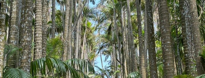 동남 식물 낙원 is one of 沖縄ナイス⭐️スポット.