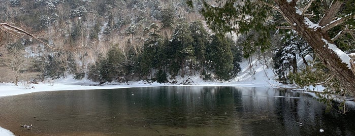 蓼ノ湖 is one of doremiさんのお気に入りスポット.