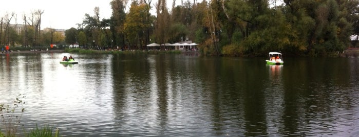 Swan Lake is one of Veranda TOP Places (rus).