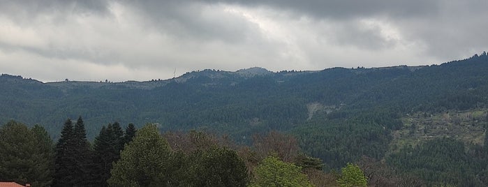 Μετσοβόραμα is one of Μέτσοβο 🐻🐾🍂.