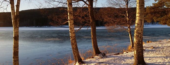 Sognsvann is one of Favourites <3 Норвегия NO.