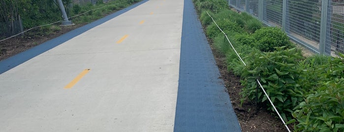 Bloomingdale Trail : Washtenaw is one of Locais curtidos por Noel.