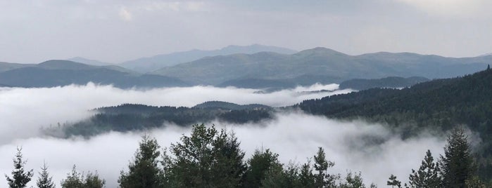 Turnalık Yaylası is one of Ordu & Giresun.