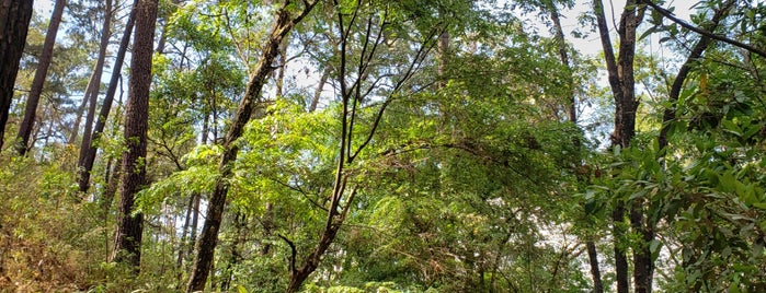 Parque Velo De Novia is one of Valle de Bravo.