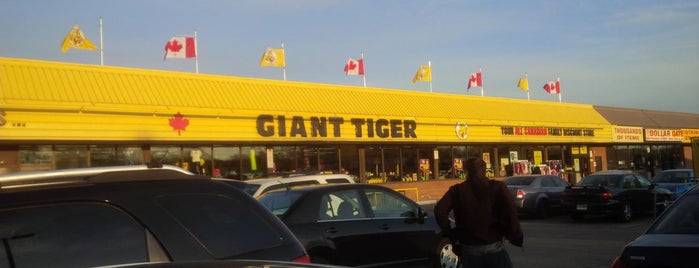 Giant Tiger is one of Canada.