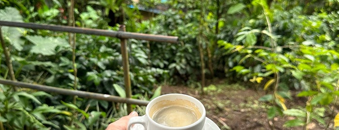 Coffee Farm is one of Bali.
