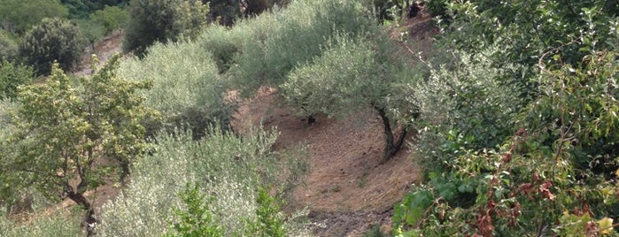 Agriturismo Ticci is one of MES RESTAURANTS.