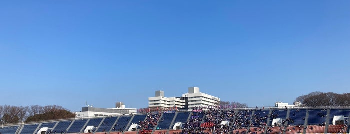 Komazawa Olympic Park Stadium is one of Lieux qui ont plu à まるめん@ワクチンチンチンチン.