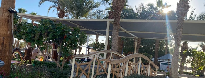 Dining Restaurant at Hilton Fayrouz Resort is one of Отели🌴.
